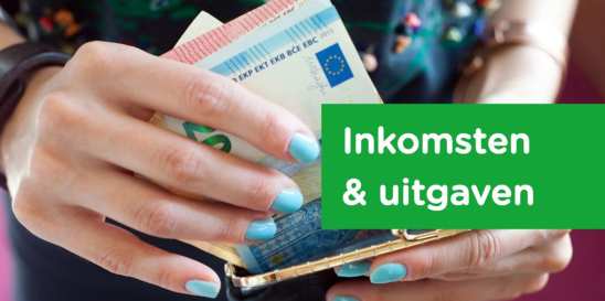 Les over inkomsten en uitgaven